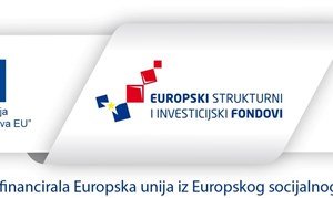 Osiguravanje sustava podrške za žene žrtve nasilja i žrtve nasilja u obitelji