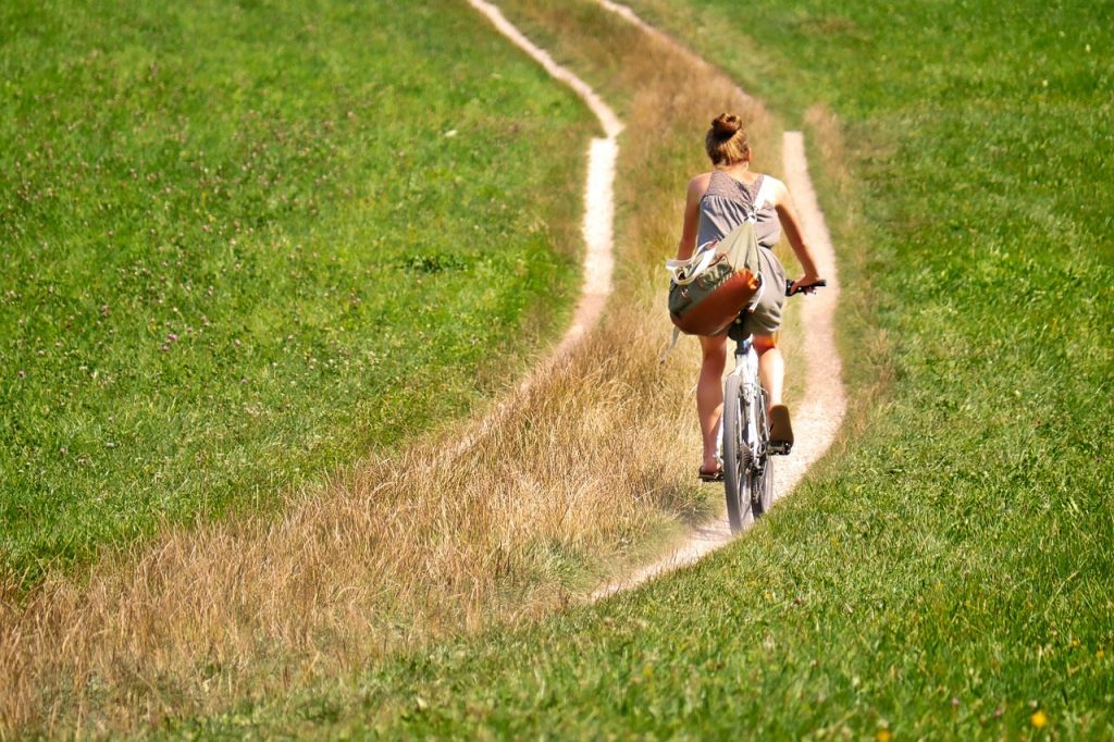 Agencija za plaćanja u poljoprivredi, ribarstvu i ruralnom razvoju