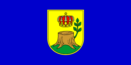 Općina Čaglin