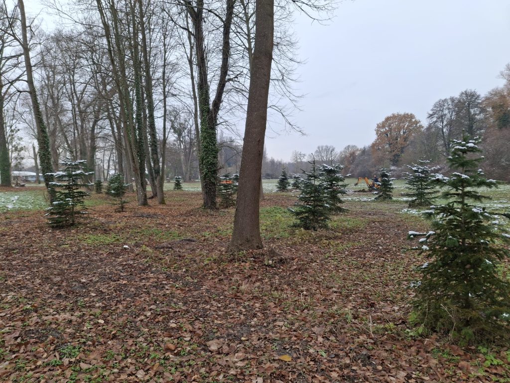 Revitalizacija parka Trenkovog dvorca