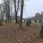 Revitalizacija parka Trenkovog dvorca